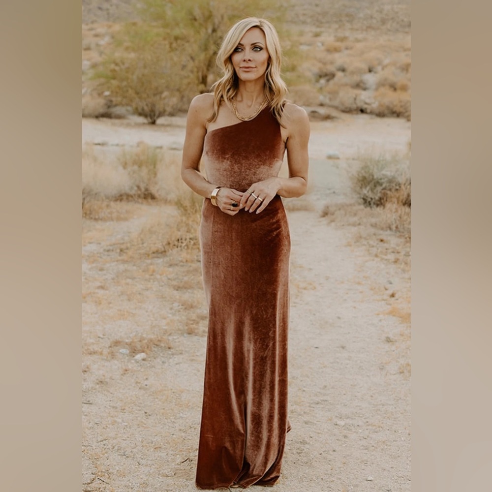Baltic Born Tatiana Velvet One Shoulder Maxi Dress in Bronze